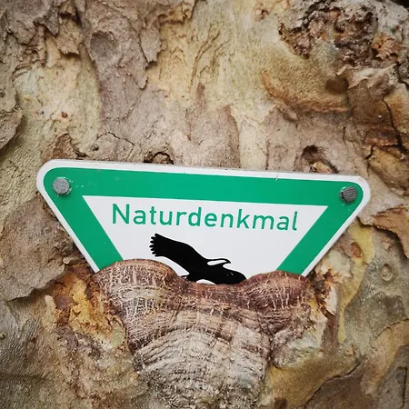 Eifelblick * Schleiden