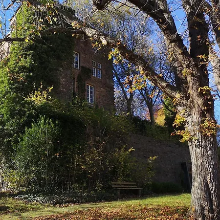 Holiday home Eifelblick