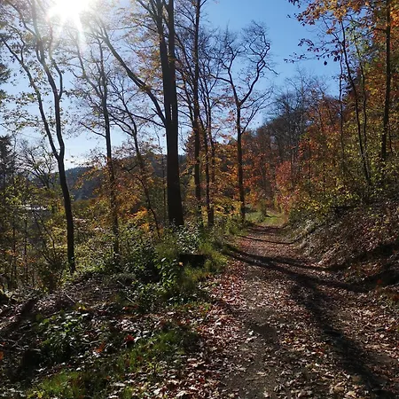 Eifelblick * Schleiden