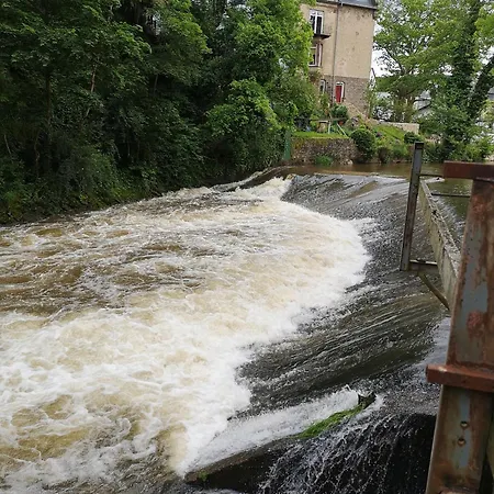 Eifelblick Semesterbostad *