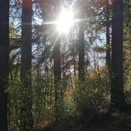 Ferienhaus Eifelblick *