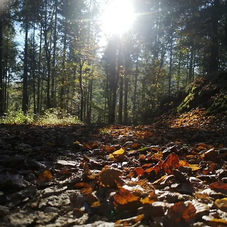 Eifelblick Semesterbostad