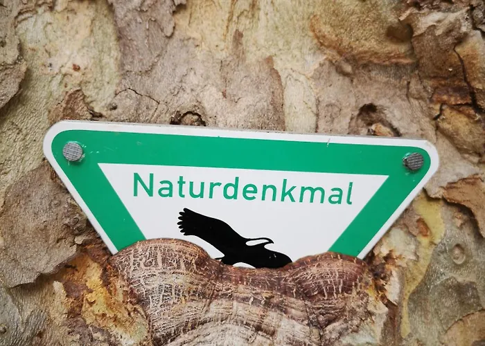 Eifelblick * Schleiden