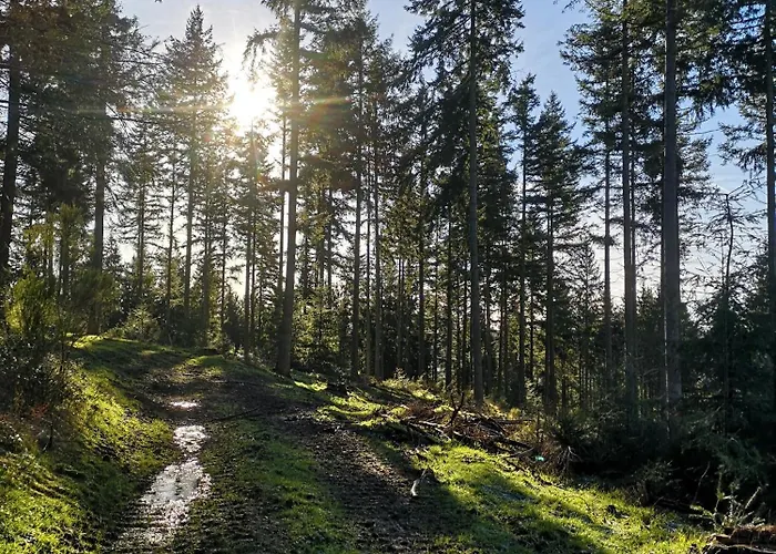 Eifelblick Hébergement de vacances Schleiden