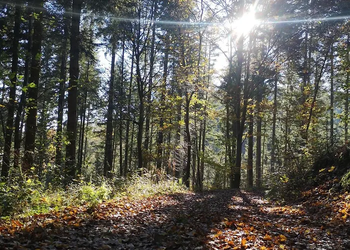 Prázdninový dům Eifelblick Schleiden