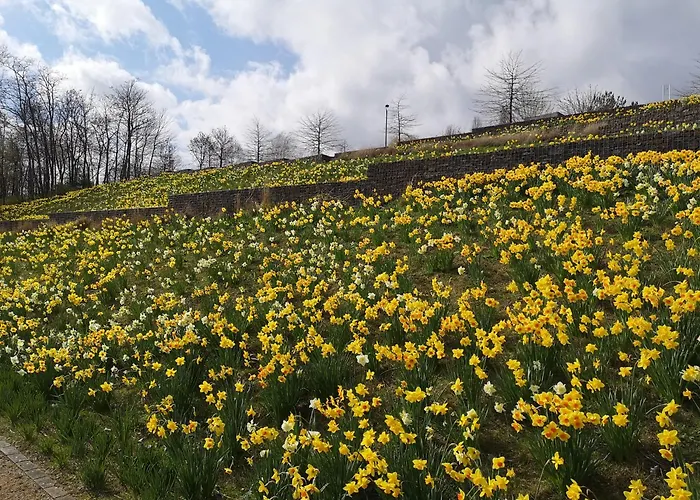 Eifelblick Schleiden