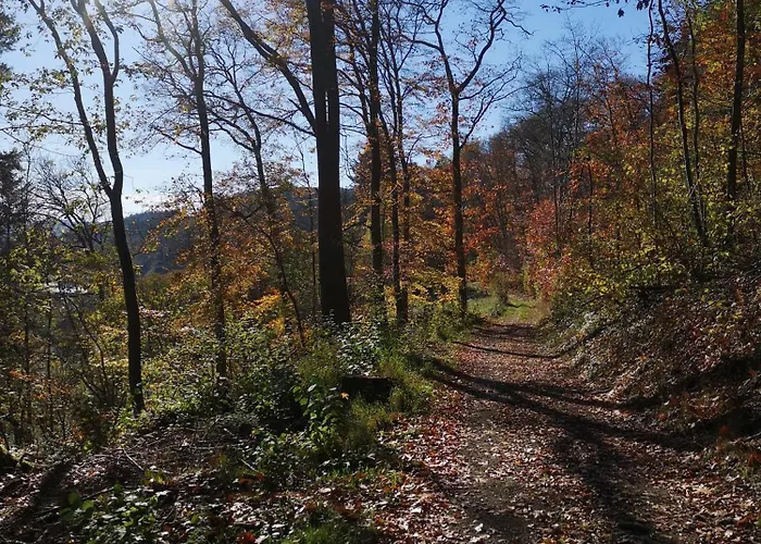 Eifelblick * Schleiden