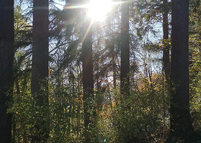 Prázdninový dům Eifelblick *