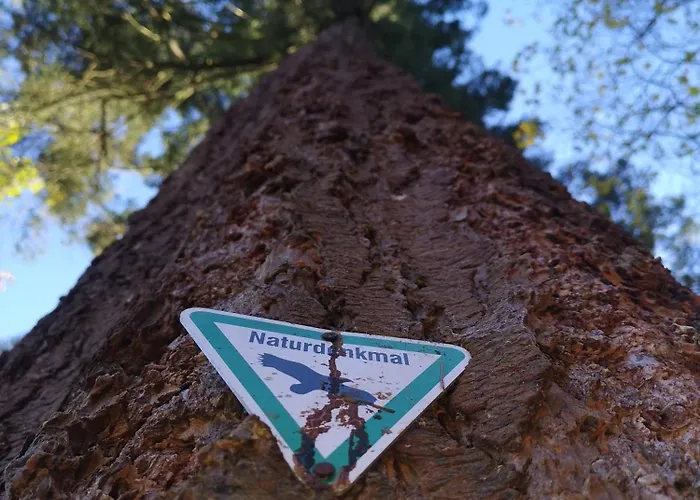 Eifelblick Prázdninový dům Schleiden